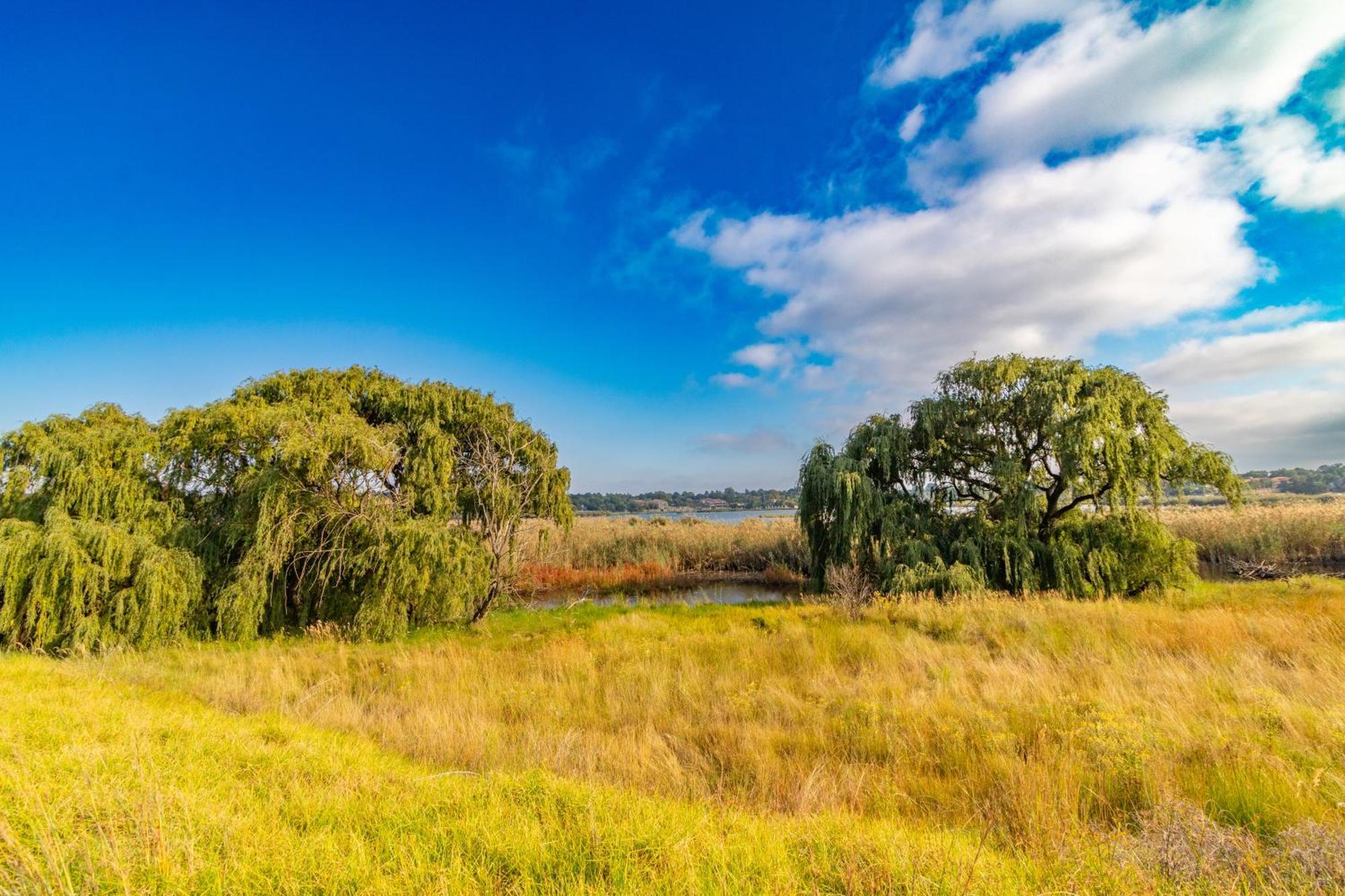 Rsa Lodge Benoni Dış mekan fotoğraf